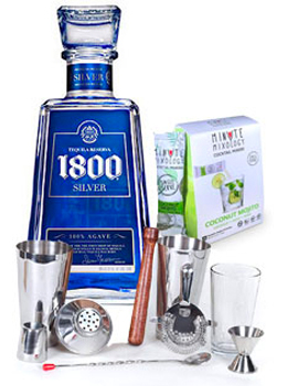COCKTAIL MIX KIT WITH 1800 SILVER T