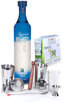 COCKTAIL MIX KIT WITH MILAGRO SILVE